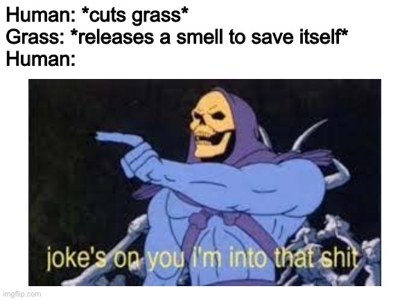 Meanwhile in florida | Human: *cuts grass*
Grass: *releases a smell to save itself*
Human: | image tagged in funny,relatable,stop reading the tags | made w/ Imgflip meme maker