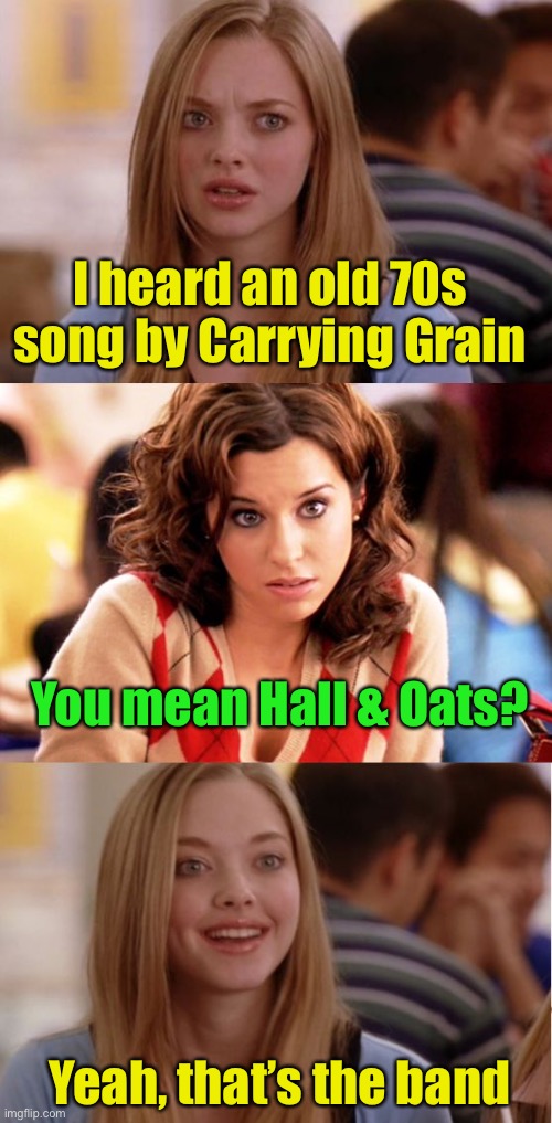 Blonde Pun | I heard an old 70s song by Carrying Grain; You mean Hall & Oats? Yeah, that’s the band | image tagged in blonde pun | made w/ Imgflip meme maker