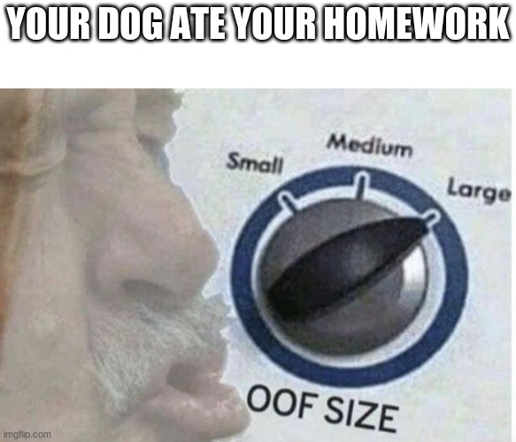 Oof size large | YOUR DOG ATE YOUR HOMEWORK | image tagged in oof size large | made w/ Imgflip meme maker
