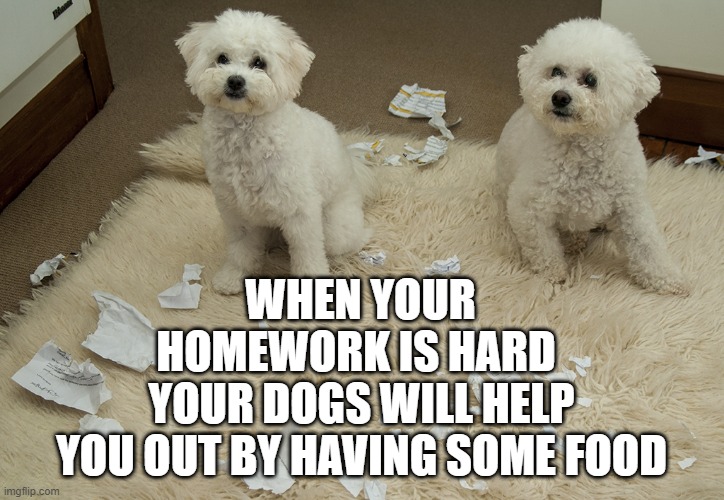 Dog Ate Homework | WHEN YOUR HOMEWORK IS HARD; YOUR DOGS WILL HELP YOU OUT BY HAVING SOME FOOD | image tagged in dog ate homework | made w/ Imgflip meme maker