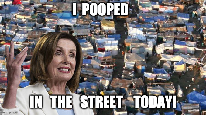 Pelosi | I  POOPED IN   THE   STREET    TODAY! | image tagged in pelosi | made w/ Imgflip meme maker