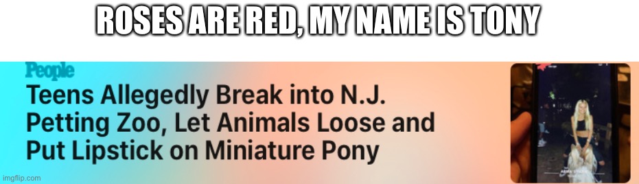 Roses are red | ROSES ARE RED, MY NAME IS TONY | image tagged in roses are red,pony,breaking news | made w/ Imgflip meme maker