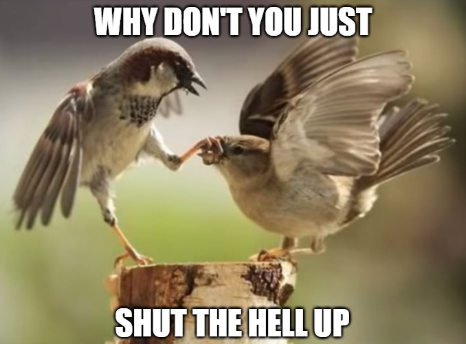 You bore me | WHY DON'T YOU JUST; SHUT THE HELL UP | image tagged in birds,memes,fun,funny,funny memes,2020 | made w/ Imgflip meme maker