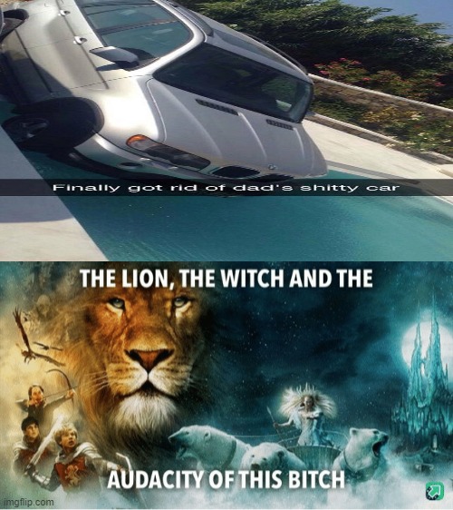 wow... | image tagged in the lion the witch and the audacity of this bitch | made w/ Imgflip meme maker