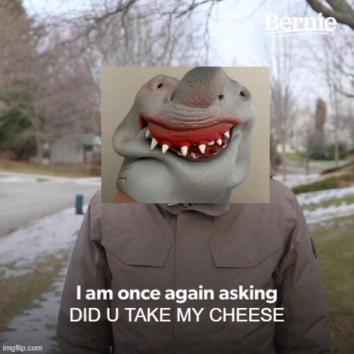 Bernie I Am Once Again Asking For Your Support | DID U TAKE MY CHEESE | image tagged in memes,bernie i am once again asking for your support | made w/ Imgflip meme maker