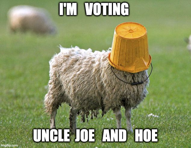 Joe and Hoe Vote | I'M   VOTING; UNCLE  JOE   AND   HOE | image tagged in stupid sheep,funny,memes,biden,demotivationals,scumbag republicans | made w/ Imgflip meme maker