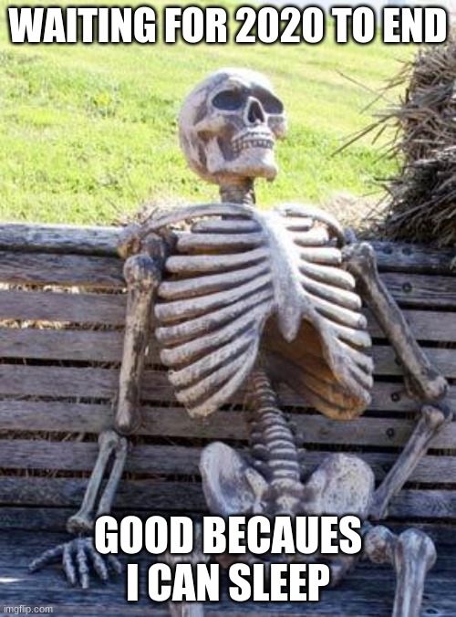 Waiting Skeleton Meme | WAITING FOR 2020 TO END; GOOD BECAUSE I CAN SLEEP | image tagged in memes,waiting skeleton | made w/ Imgflip meme maker