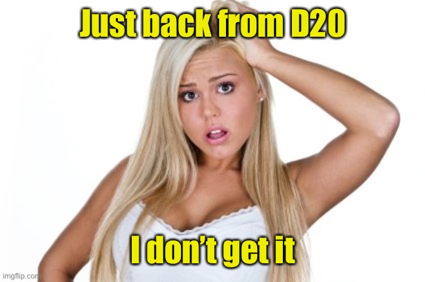 Dumb Blonde | Just back from D20 I don’t get it | image tagged in dumb blonde | made w/ Imgflip meme maker