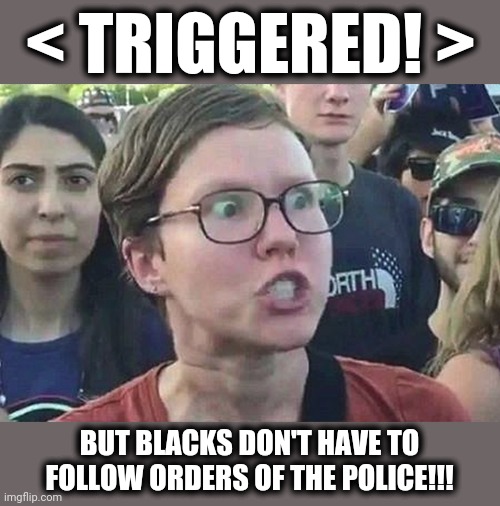 Triggered Liberal | < TRIGGERED! > BUT BLACKS DON'T HAVE TO FOLLOW ORDERS OF THE POLICE!!! | image tagged in triggered liberal | made w/ Imgflip meme maker