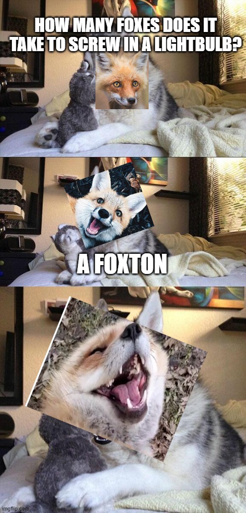Fox Meme | HOW MANY FOXES DOES IT TAKE TO SCREW IN A LIGHTBULB? A FOXTON | image tagged in memes,bad pun dog | made w/ Imgflip meme maker