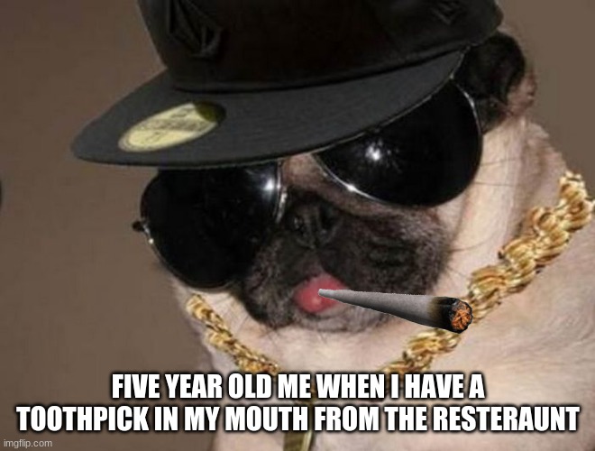 aahhh, back in the glory days... | FIVE YEAR OLD ME WHEN I HAVE A TOOTHPICK IN MY MOUTH FROM THE RESTERAUNT | image tagged in gangster pug | made w/ Imgflip meme maker
