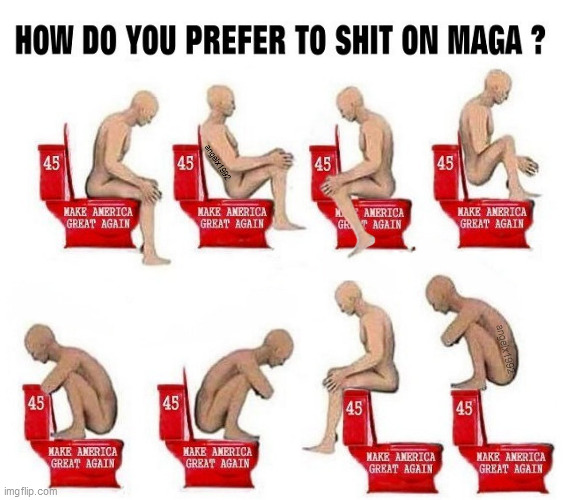 toilet | image tagged in toilet,trump supporters,shits,trump dump,bathroom,crap | made w/ Imgflip meme maker