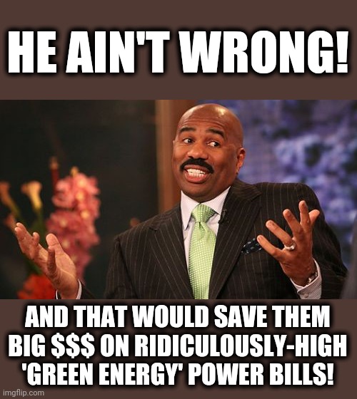 Steve Harvey Meme | HE AIN'T WRONG! AND THAT WOULD SAVE THEM BIG $$$ ON RIDICULOUSLY-HIGH 'GREEN ENERGY' POWER BILLS! | image tagged in memes,steve harvey | made w/ Imgflip meme maker
