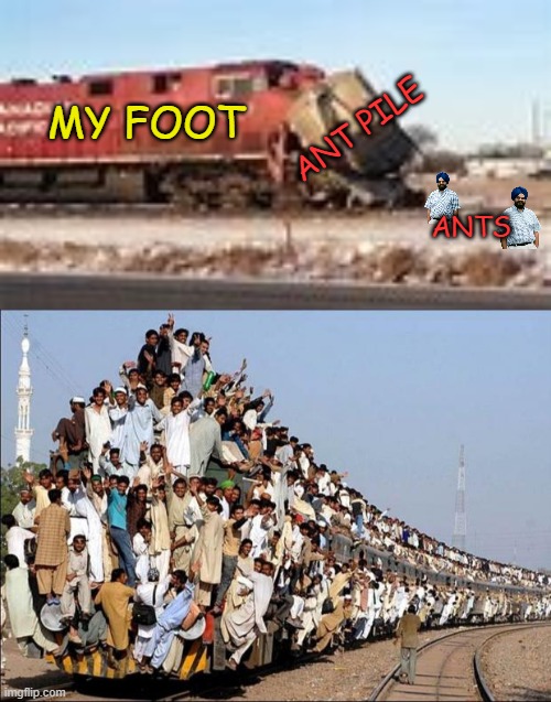 Big oof |  MY FOOT; ANT PILE; ANTS | image tagged in indian train,train crash | made w/ Imgflip meme maker