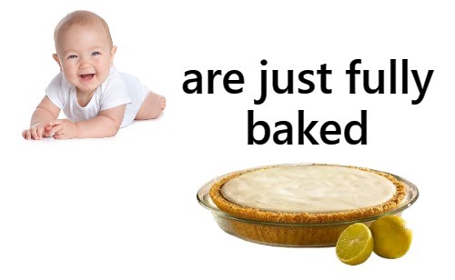 High Quality Babies Are Fully Baked Cream Pies Blank Meme Template