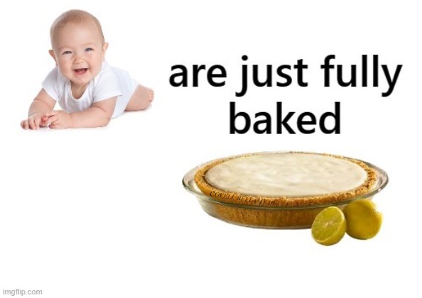 Babies Are Fully Baked Cream Pies | COVELL BELLAMY III | image tagged in babies are fully baked cream pies | made w/ Imgflip meme maker