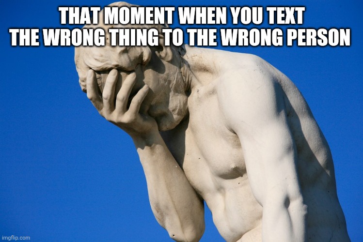 relatable | THAT MOMENT WHEN YOU TEXT THE WRONG THING TO THE WRONG PERSON | image tagged in embarrassed statue | made w/ Imgflip meme maker