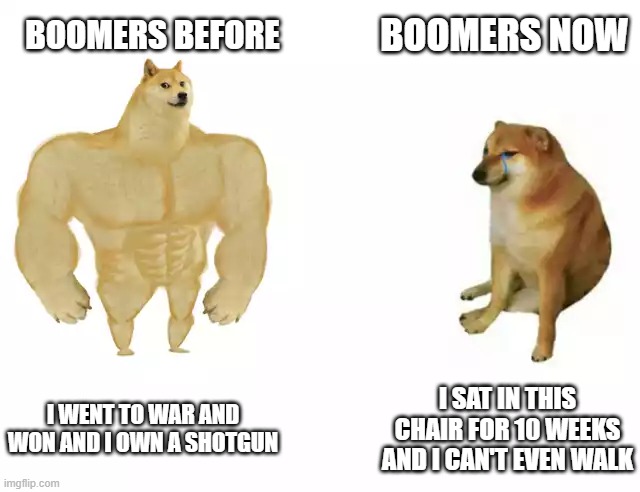 Thing | BOOMERS NOW; BOOMERS BEFORE; I WENT TO WAR AND WON AND I OWN A SHOTGUN; I SAT IN THIS CHAIR FOR 10 WEEKS AND I CAN'T EVEN WALK | image tagged in buff doge vs cheems | made w/ Imgflip meme maker