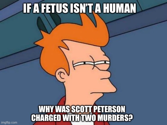 He is still guilty of two murders, one for his wife and one for the unborn baby | IF A FETUS ISN’T A HUMAN; WHY WAS SCOTT PETERSON CHARGED WITH TWO MURDERS? | image tagged in memes,futurama fry,scott peterson | made w/ Imgflip meme maker