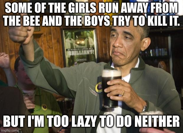Not Bad | SOME OF THE GIRLS RUN AWAY FROM THE BEE AND THE BOYS TRY TO KILL IT. BUT I'M TOO LAZY TO DO NEITHER | image tagged in not bad | made w/ Imgflip meme maker