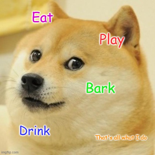 Dog's actions | Eat; Play; Bark; Drink; That's all whut I do | image tagged in memes,doge | made w/ Imgflip meme maker