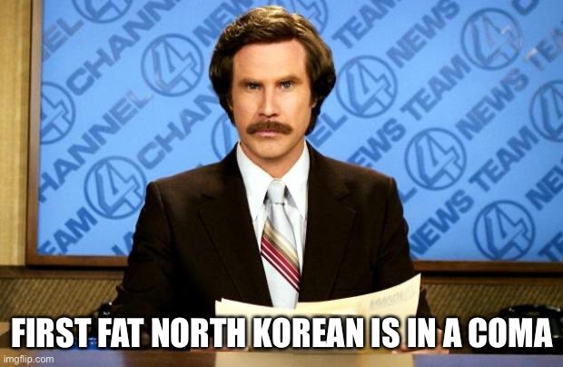 Fat N. Korean | FIRST FAT NORTH KOREAN IS IN A COMA | image tagged in breaking news,kim jong un | made w/ Imgflip meme maker
