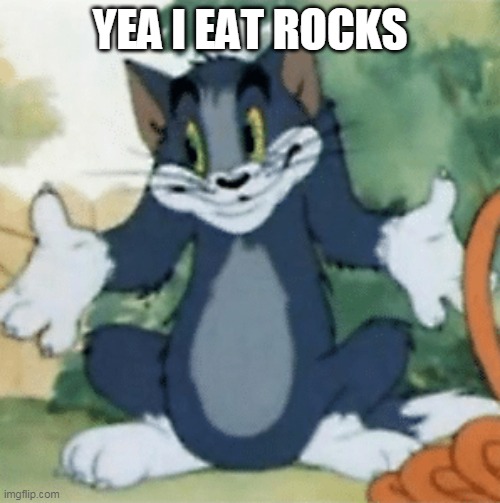 rocks | YEA I EAT ROCKS | image tagged in rocks | made w/ Imgflip meme maker