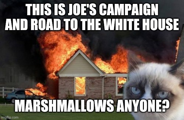 Burn Kitty Meme | THIS IS JOE'S CAMPAIGN AND ROAD TO THE WHITE HOUSE; MARSHMALLOWS ANYONE? | image tagged in memes,burn kitty,grumpy cat | made w/ Imgflip meme maker