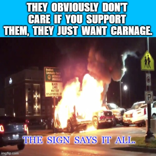 Kenosha Riots | THEY  OBVIOUSLY  DON'T  CARE  IF  YOU  SUPPORT  THEM,  THEY  JUST  WANT  CARNAGE. THE  SIGN  SAYS  IT  ALL. | image tagged in blm,don't care | made w/ Imgflip meme maker