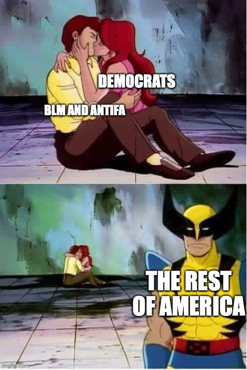 Vote Donald Trump | DEMOCRATS; BLM AND ANTIFA; THE REST OF AMERICA | image tagged in sad wolverine left out of party,blm,antifa,trump 2020 | made w/ Imgflip meme maker