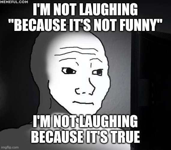 I'M NOT LAUGHING "BECAUSE IT'S NOT FUNNY" I'M NOT LAUGHING BECAUSE IT'S TRUE | image tagged in right in the feels | made w/ Imgflip meme maker