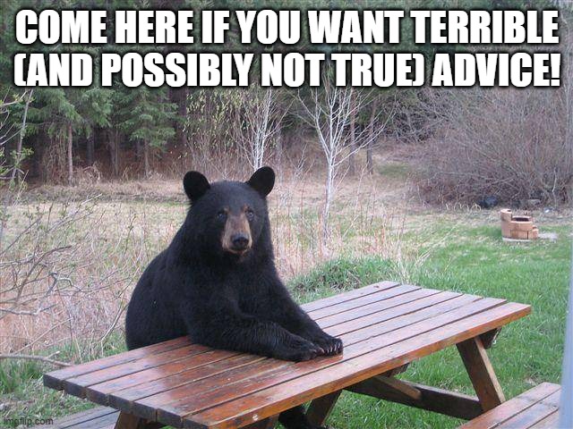 Bear at Picnic Table | COME HERE IF YOU WANT TERRIBLE (AND POSSIBLY NOT TRUE) ADVICE! | image tagged in bear at picnic table | made w/ Imgflip meme maker