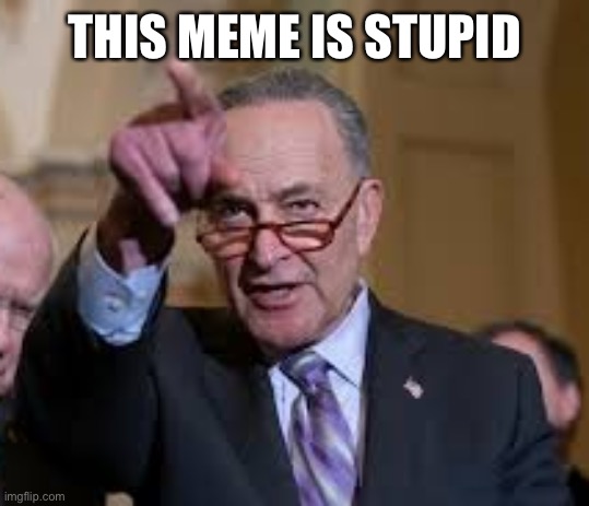 Stupid I Say | THIS MEME IS STUPID | image tagged in schmuck shumer,stupid memes | made w/ Imgflip meme maker