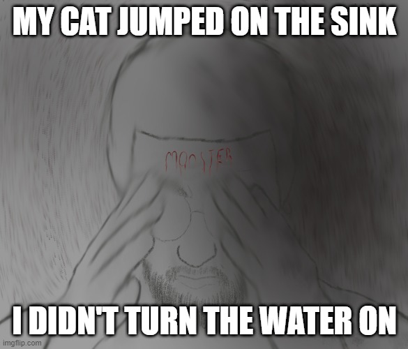 Monster | MY CAT JUMPED ON THE SINK; I DIDN'T TURN THE WATER ON | image tagged in first world problems,funny,2real4me,really | made w/ Imgflip meme maker