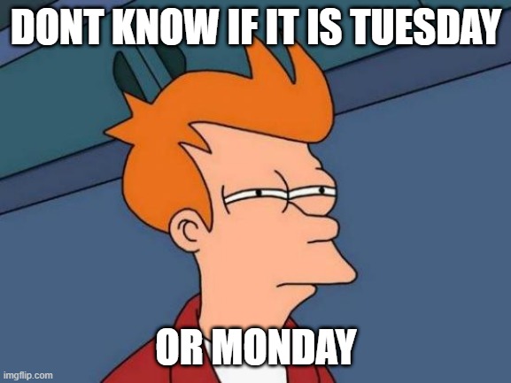 Tuesday or Monday | DONT KNOW IF IT IS TUESDAY; OR MONDAY | image tagged in memes,futurama fry | made w/ Imgflip meme maker