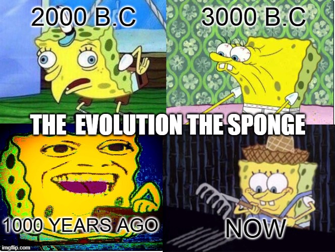 evolution | 2000 B.C; 3000 B.C; THE  EVOLUTION THE SPONGE; 1000 YEARS AGO; NOW | image tagged in evolution | made w/ Imgflip meme maker