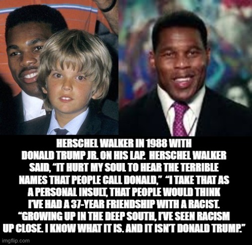 Hershel Walker, Trump is not a RACIST! | image tagged in rnc convention,trump,republicans | made w/ Imgflip meme maker