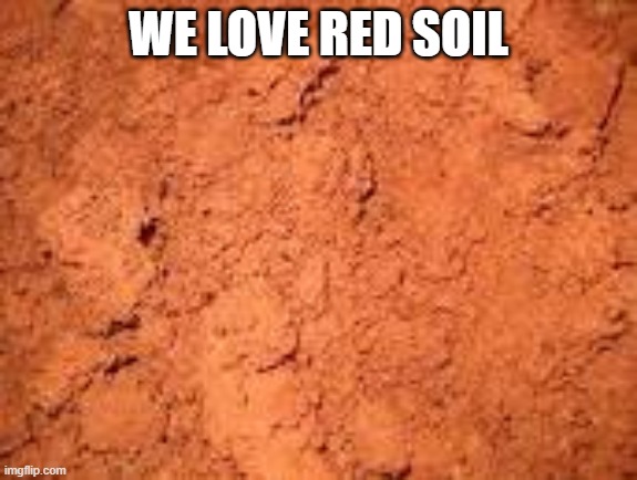 we love red soil | WE LOVE RED SOIL | image tagged in memes | made w/ Imgflip meme maker