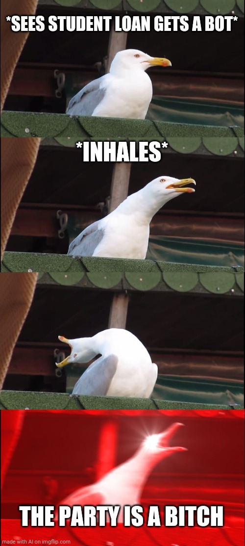 Inhaling Seagull Meme | *SEES STUDENT LOAN GETS A BOT*; *INHALES*; THE PARTY IS A BITCH | image tagged in memes,inhaling seagull | made w/ Imgflip meme maker