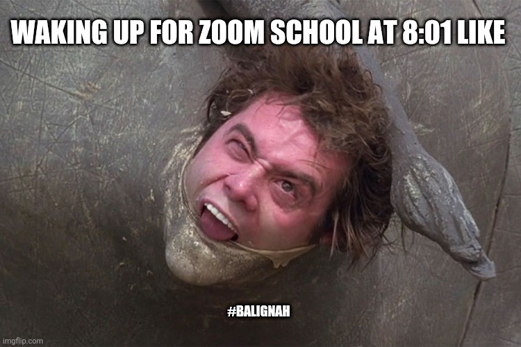 Zooming | WAKING UP FOR ZOOM SCHOOL AT 8:01 LIKE; #BALIGNAH | image tagged in zoom,back to school,school,original meme,jim carrey | made w/ Imgflip meme maker