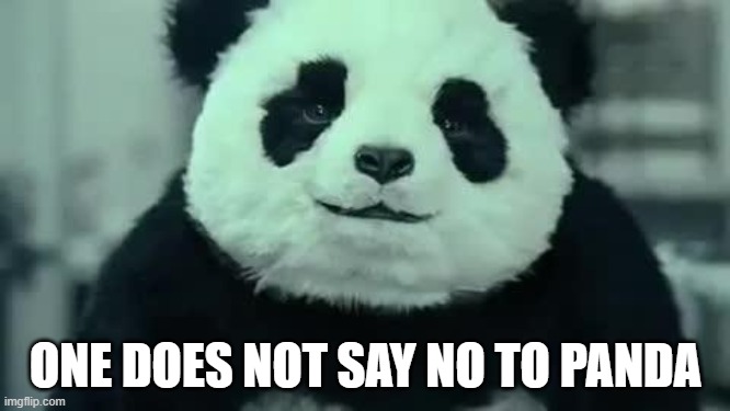 Never say no to panda | ONE DOES NOT SAY NO TO PANDA | image tagged in never say no to panda,panda | made w/ Imgflip meme maker