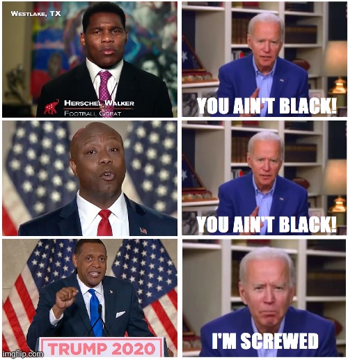 Biden is screwed | image tagged in racist,black lives matter,rnc,election 2020 | made w/ Imgflip meme maker