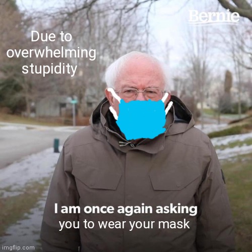 Bernie I Am Once Again Asking For Your Support Meme | Due to overwhelming stupidity; you to wear your mask | image tagged in memes,bernie i am once again asking for your support | made w/ Imgflip meme maker