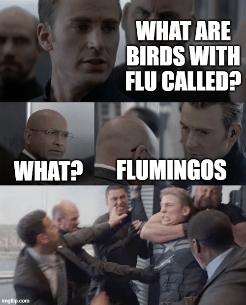 A fun pun. | WHAT ARE BIRDS WITH FLU CALLED? WHAT? FLUMINGOS | image tagged in captain america elevator,birds,flamingo,flu | made w/ Imgflip meme maker