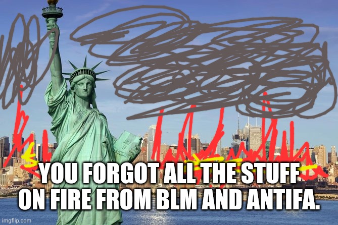 YOU FORGOT ALL THE STUFF ON FIRE FROM BLM AND ANTIFA. | made w/ Imgflip meme maker