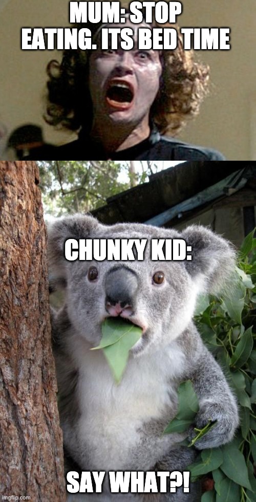 MUM: STOP EATING. ITS BED TIME; CHUNKY KID:; SAY WHAT?! | image tagged in memes,surprised koala,big chungus | made w/ Imgflip meme maker