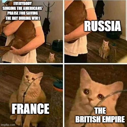 Sad Cat Holding Dog | EVERYBODY SINGING THE AMERICANS' PRAISE FOR SAVING THE DAY DURING WW1; RUSSIA; THE BRITISH EMPIRE; FRANCE | image tagged in sad cat holding dog,ww1,memes,historical meme,cats,dogs | made w/ Imgflip meme maker