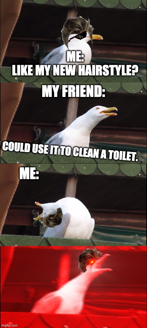 Inhaling Seagull | ME:
LIKE MY NEW HAIRSTYLE? MY FRIEND:; I COULD USE IT TO CLEAN A TOILET. ME: | image tagged in memes,inhaling seagull | made w/ Imgflip meme maker