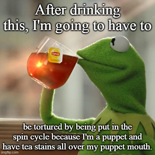 But That's None Of My Business | After drinking this, I'm going to have to; be tortured by being put in the spin cycle because I'm a puppet and have tea stains all over my puppet mouth. | image tagged in memes,but that's none of my business,kermit the frog | made w/ Imgflip meme maker
