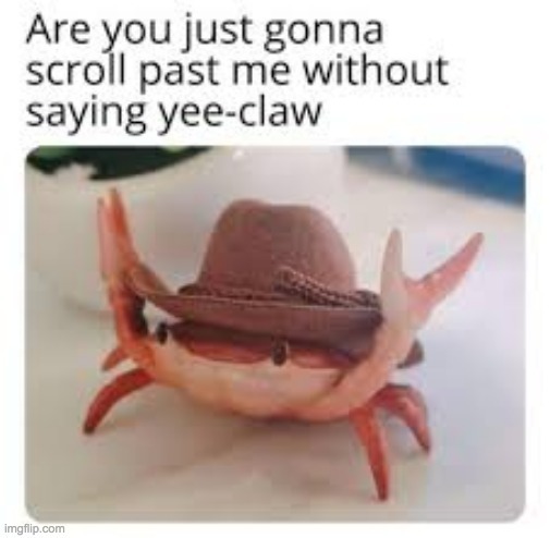 hail the crab | image tagged in crab | made w/ Imgflip meme maker
